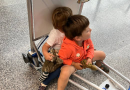 Comment nous avons géré 24h de vol avec 2 enfants en bas âge